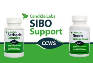 sibo support treatment